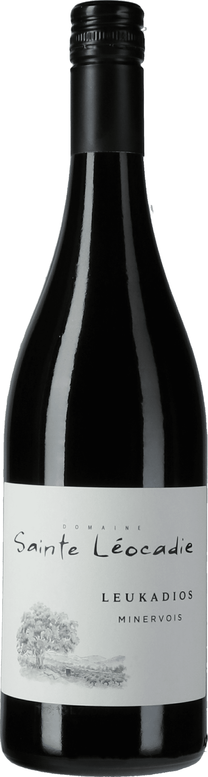 Sainte Léocadie: Cuvée Leukadios Rouge 2021