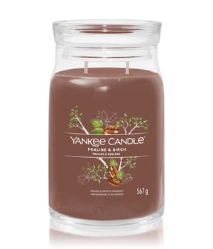 Yankee Candle Praline & Birch Duftkerze-368 g