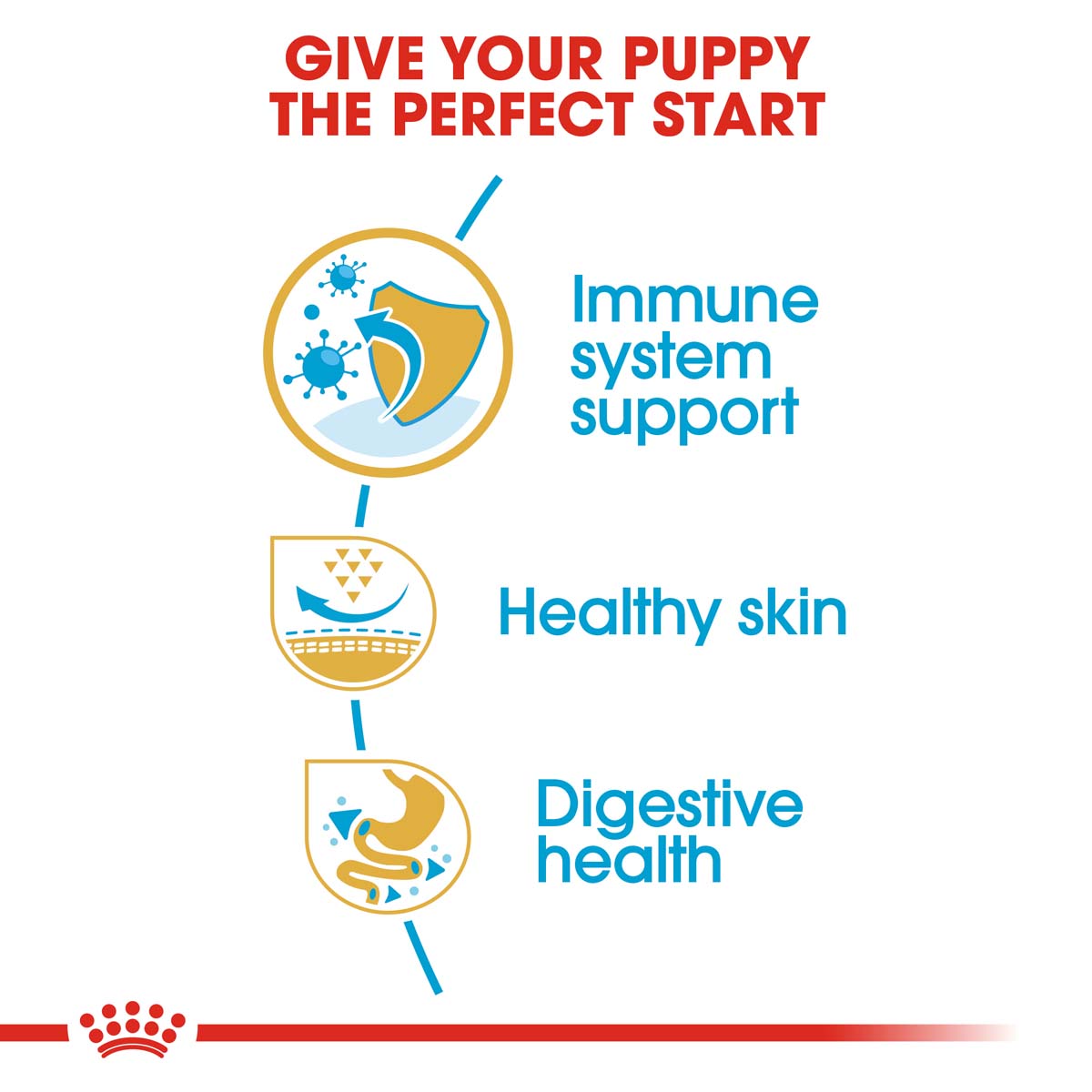 ROYAL CANIN Pug Puppy Welpenfutter trocken für Mops bei ZooRoyal