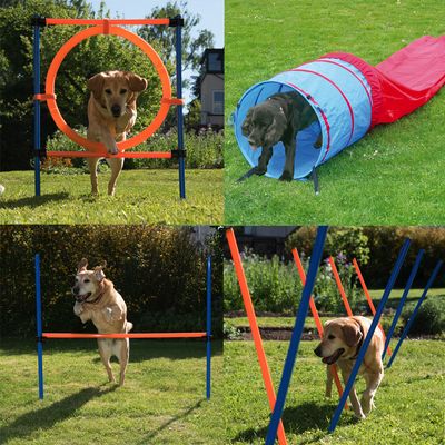 Agility Fun & Sport Komplett-Set