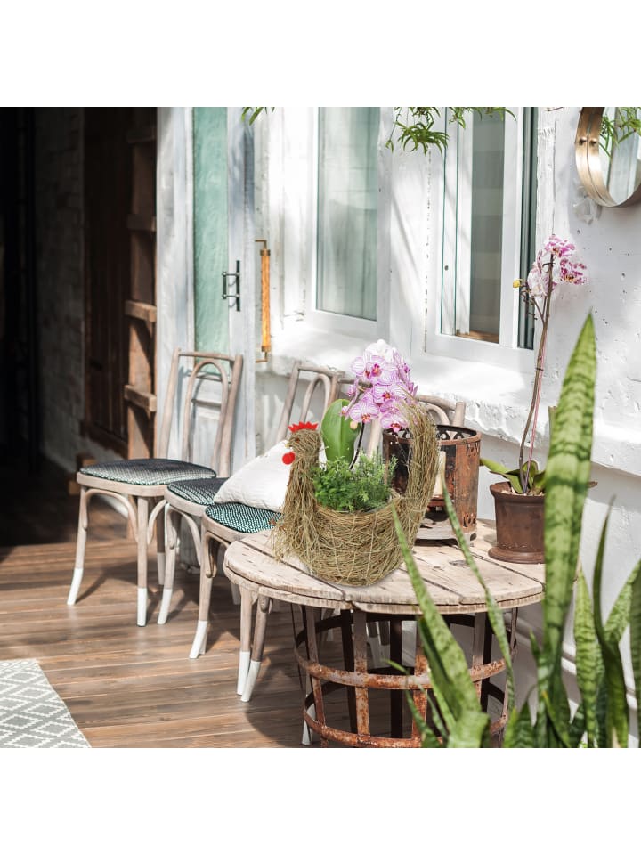 relaxdays 2x Blumentopf 