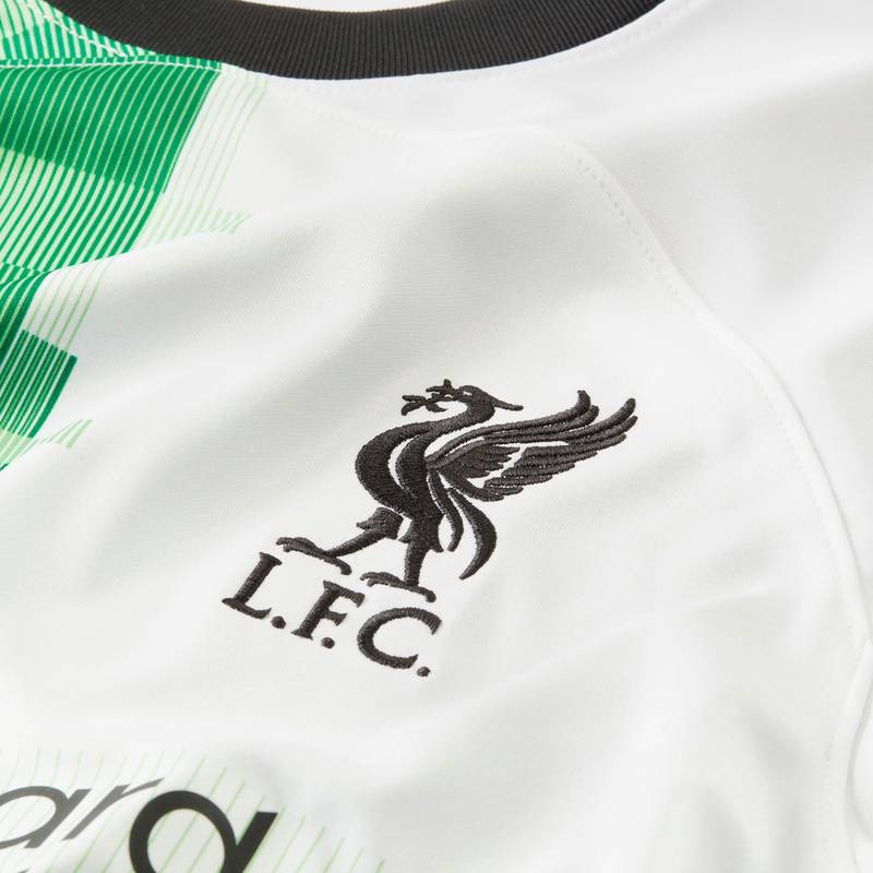 Nike FC Liverpool 23-24 Auswrts Teamtrikot Herren