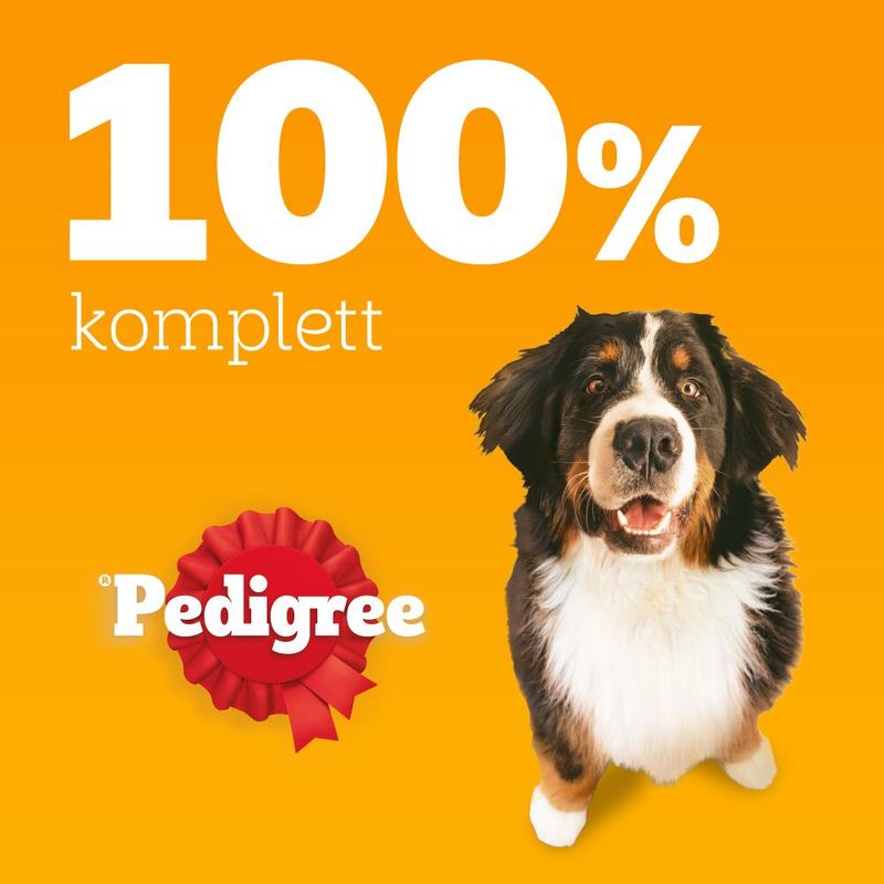 Pedigree Professional Nutrition Adult Maxi >25 kg mit Geflügel & Gemüse