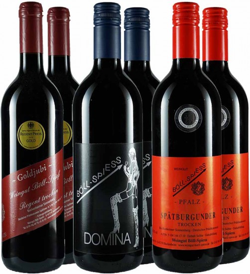Böll-Spieß Rotwein-Paket trocken - Weingut Böll-Spieß