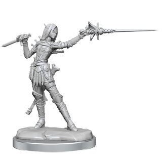 Pathfinder Legendary Cuts: Female Elf Rogue (2)