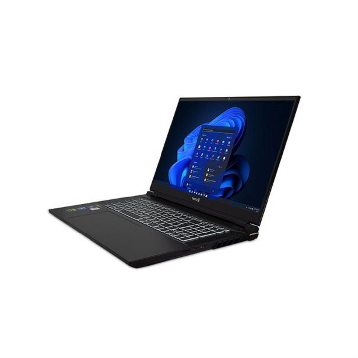 TERRA TERRA MOBILE GAMER ELITE 5v2 i9-13900HX W11P Gaming-Notebook (Intel Core i9 13900HX, GeForce RTX4070)