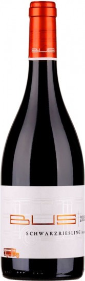 2016 Schwarzriesling trocken - Weingut Bus