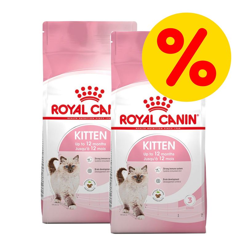 Sparpaket Royal Canin Kitten zu TOP-Preisen