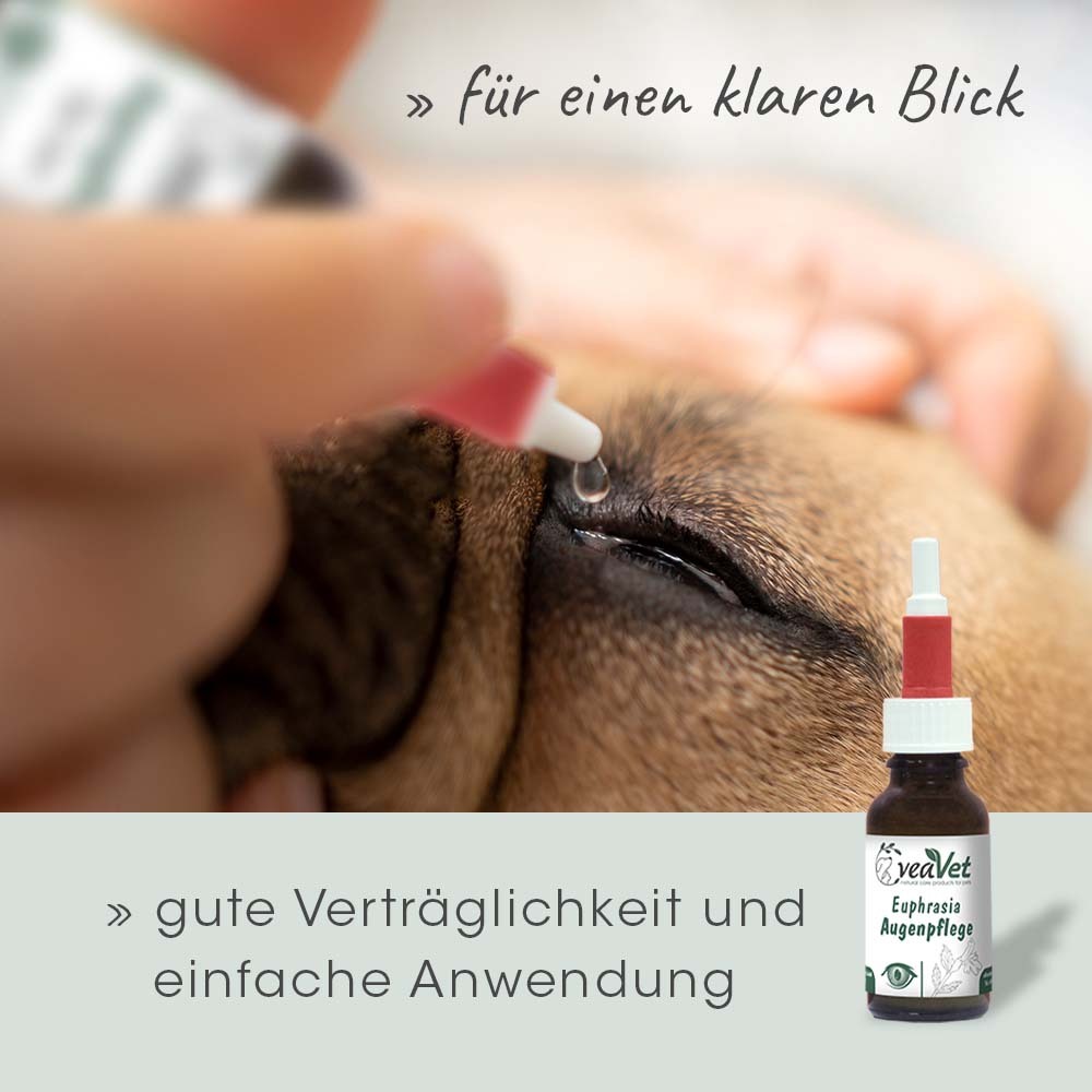 cdVet Augen- & Ohrenpflege cdVet VeaVet Euphrasia Augenpflege