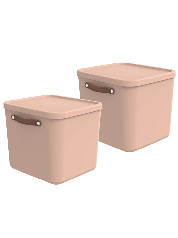 Rotho 2er-Set Aufbewahrungskiste 40l in Meadow rose günstig kaufen onesize