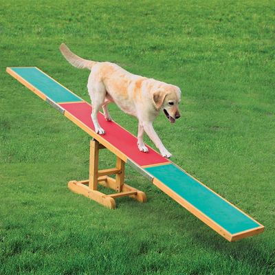Trixie Agility Wippe