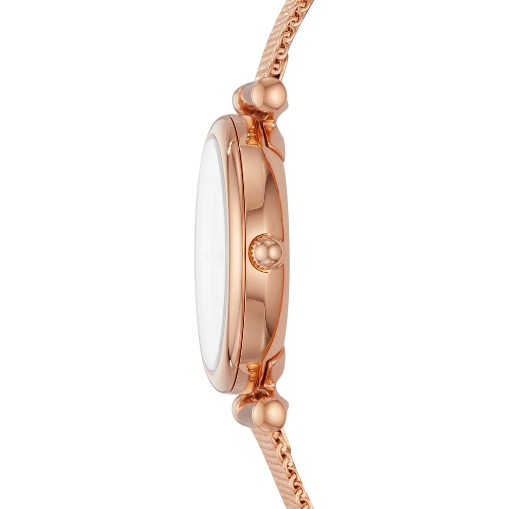 Fossil Montre pour femme Acier inoxydable Montre