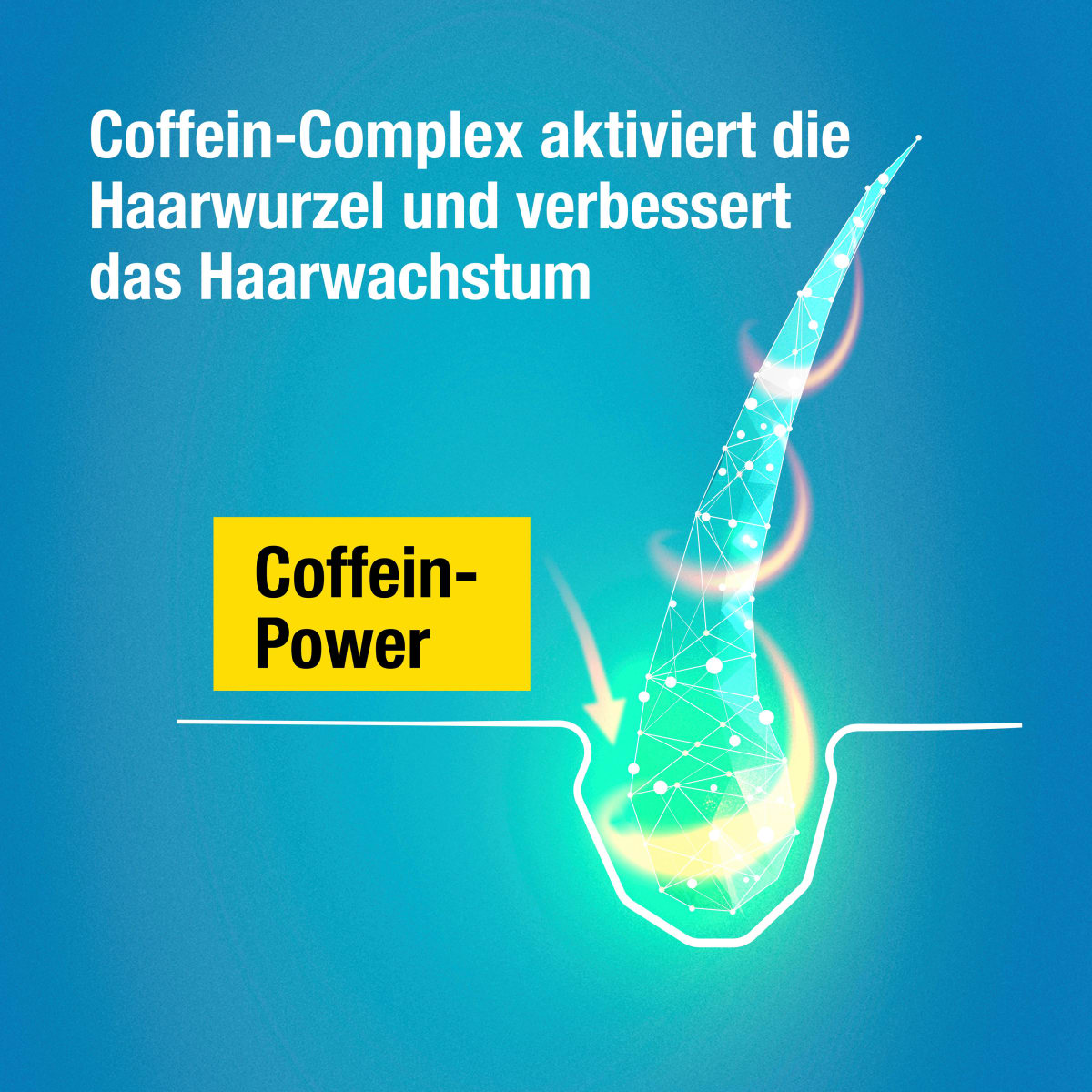 Shampoo Hybrid Coffein, 250 ml