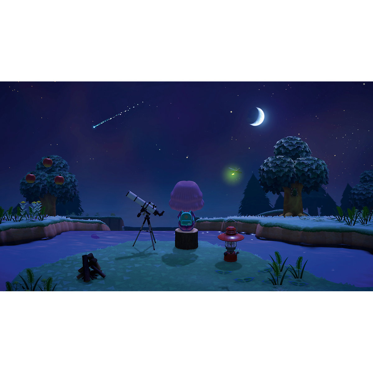Nintendo Switch Animal Crossing: New Horizons