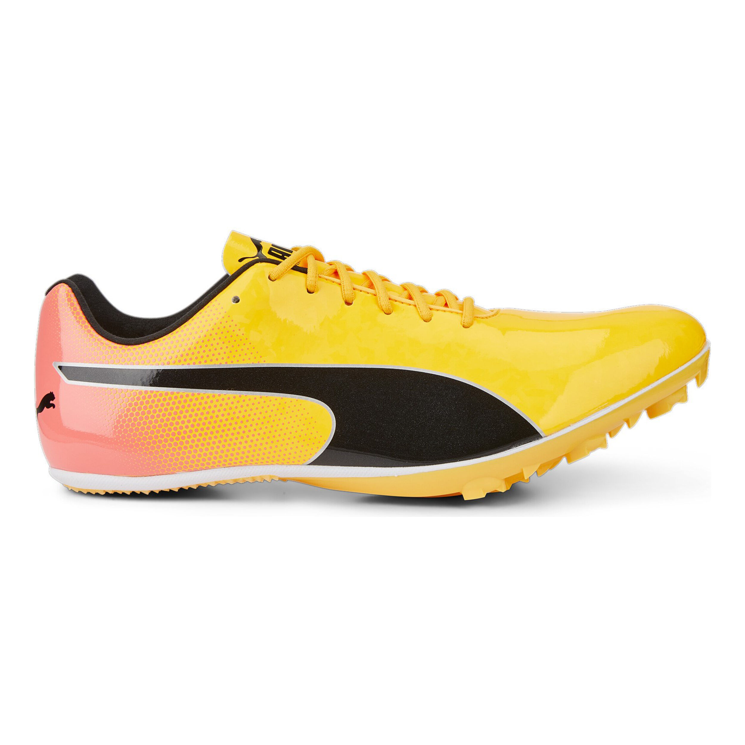 EvoSPEED Sprint 14 Spikeschuh - Gelb, Orange