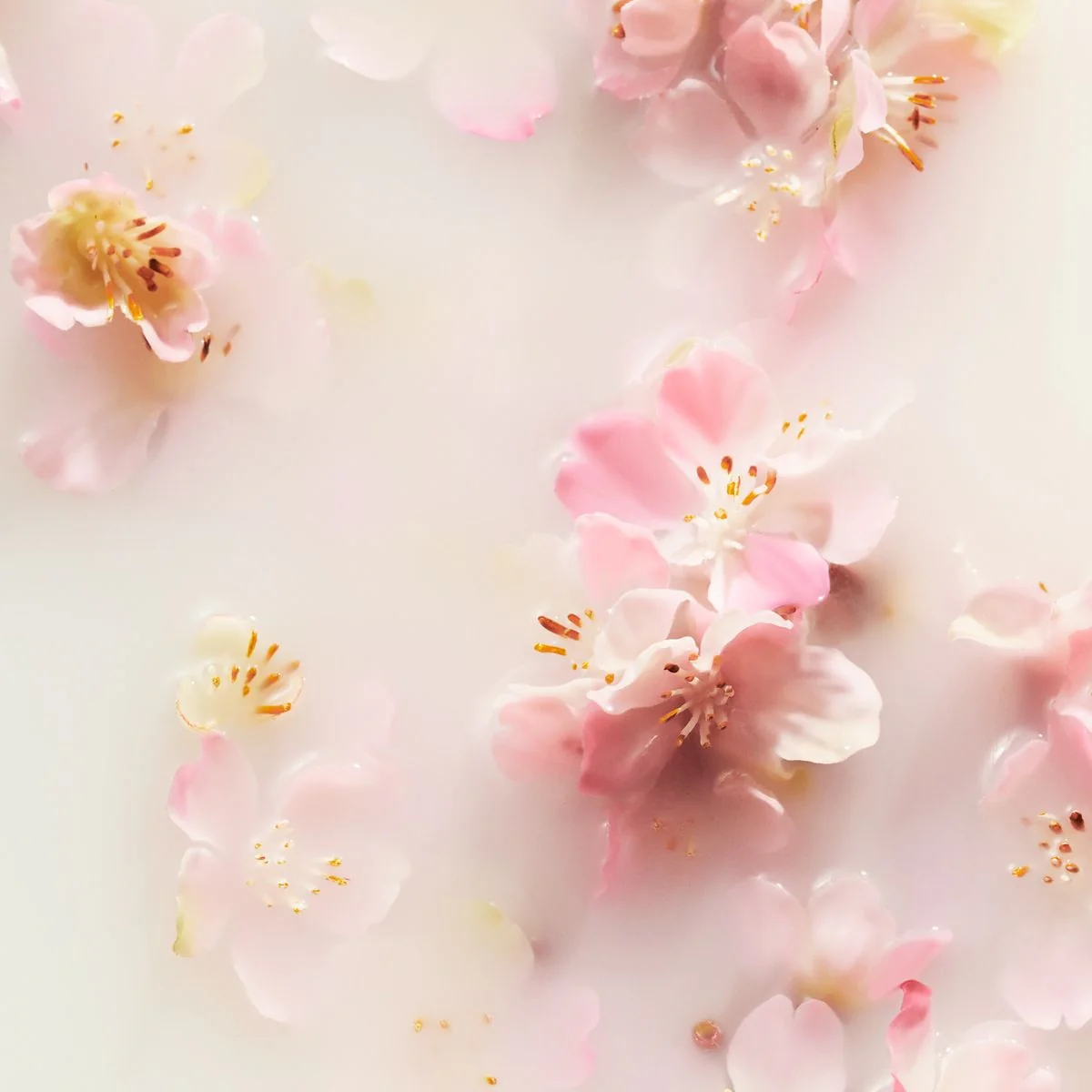 The Ritual of Sakura čvrsti sapun za čišćenje tijela i kose