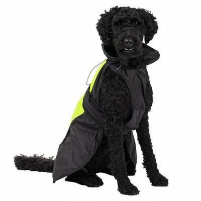 Hundemantel Illume Nite Neon