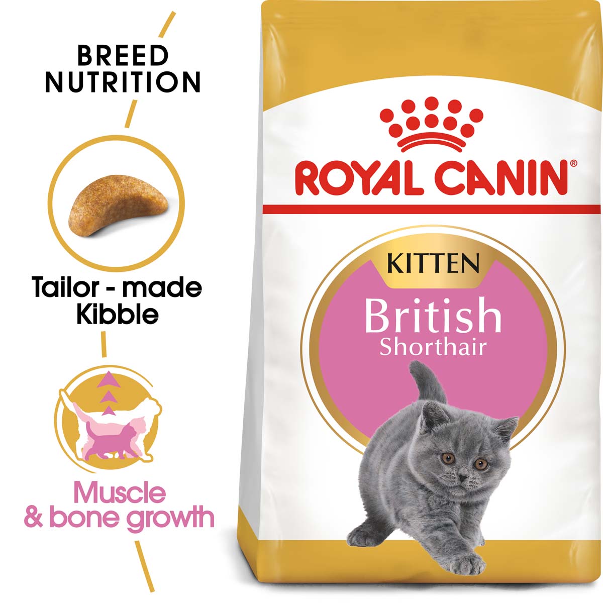 ROYAL CANIN British Shorthair Kittenfutter trocken für Kätzchen