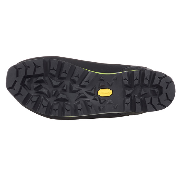 ALPINE EXPERT GTX Herren - Bergstiefel