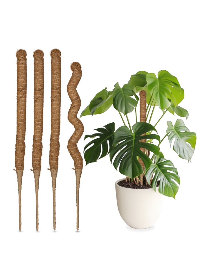relaxdays 5 x Kokosstäbe in Natur - 60 cm günstig kaufen onesize