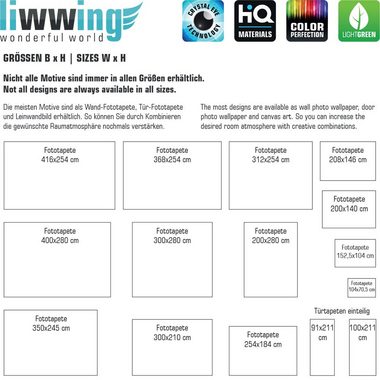 liwwing Fototapete Fototapete Erde Weltraum Planet Meteoriten Blau liwwing no. 232, Welt