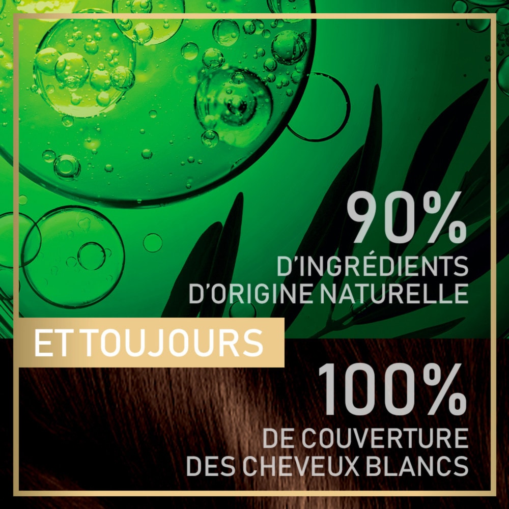 garnier coloration Belle Color Naturals Coloration Permanente Sans Ammoniaque 90% d'Ingrédient d'origine naturelle