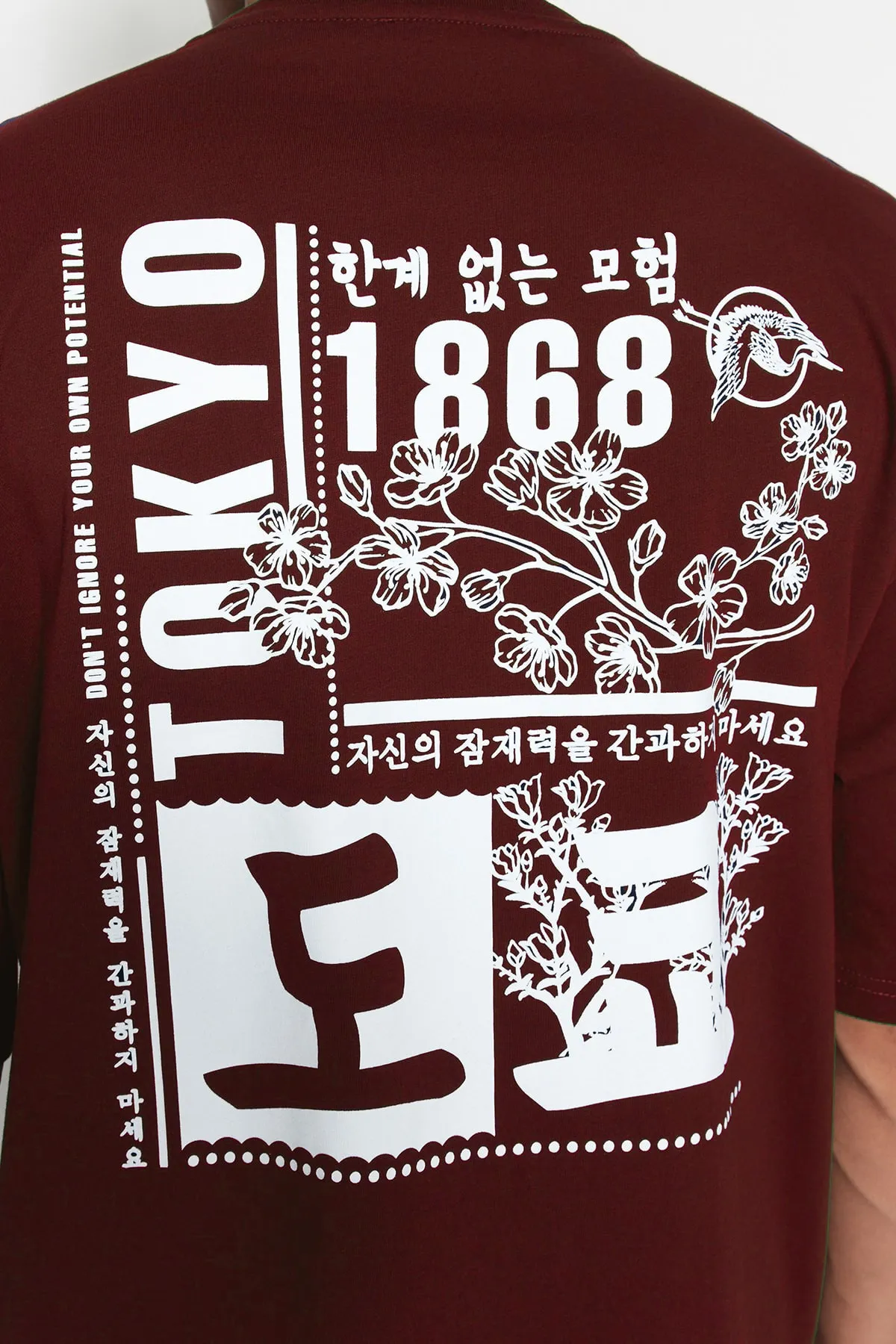 Trendyol Collection  Braunes Oversize-T-Shirt aus 100 % Baumwolle mit Fernost-Aufdruck TMNSS23TS00170