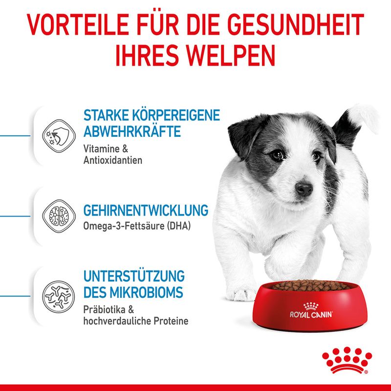 Royal Canin Mini Puppy zu TOP-Preisen