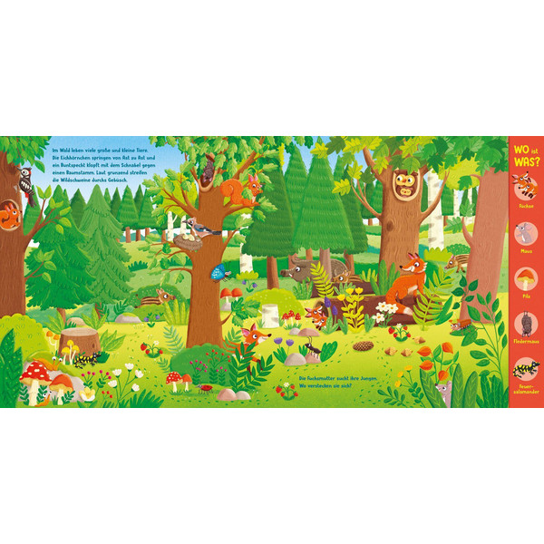 WO IST WAS? WAS WIMMELT IN WALD UND WIESE? - Kinderbuch