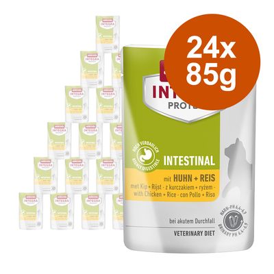 Animonda Integra Protect Adult Intestinal 24 x 85 g