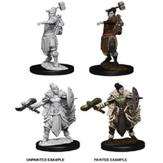 Female Half-Orc Barbarian: Nolzurs Marvelous Unpainted Miniatures