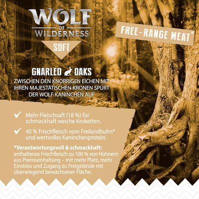 Wolf of Wilderness 