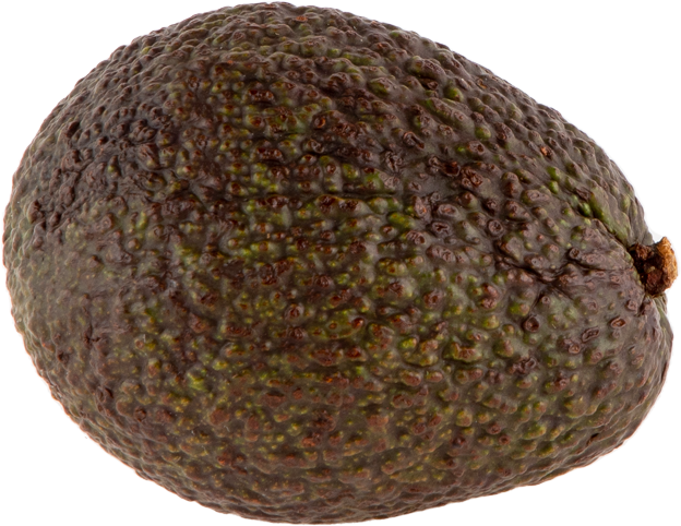 Hass Avocado vorgereift