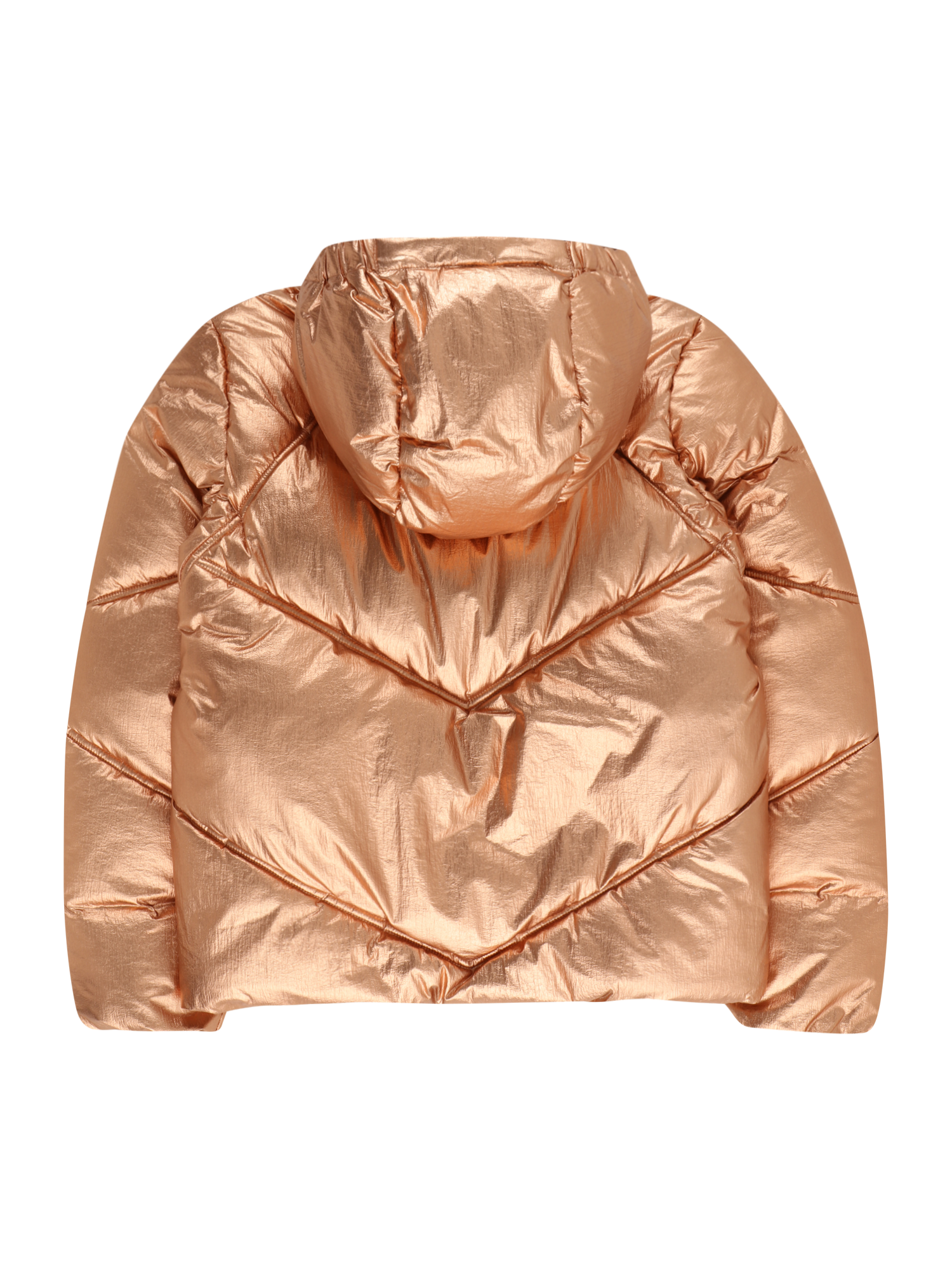 Winter Jacket