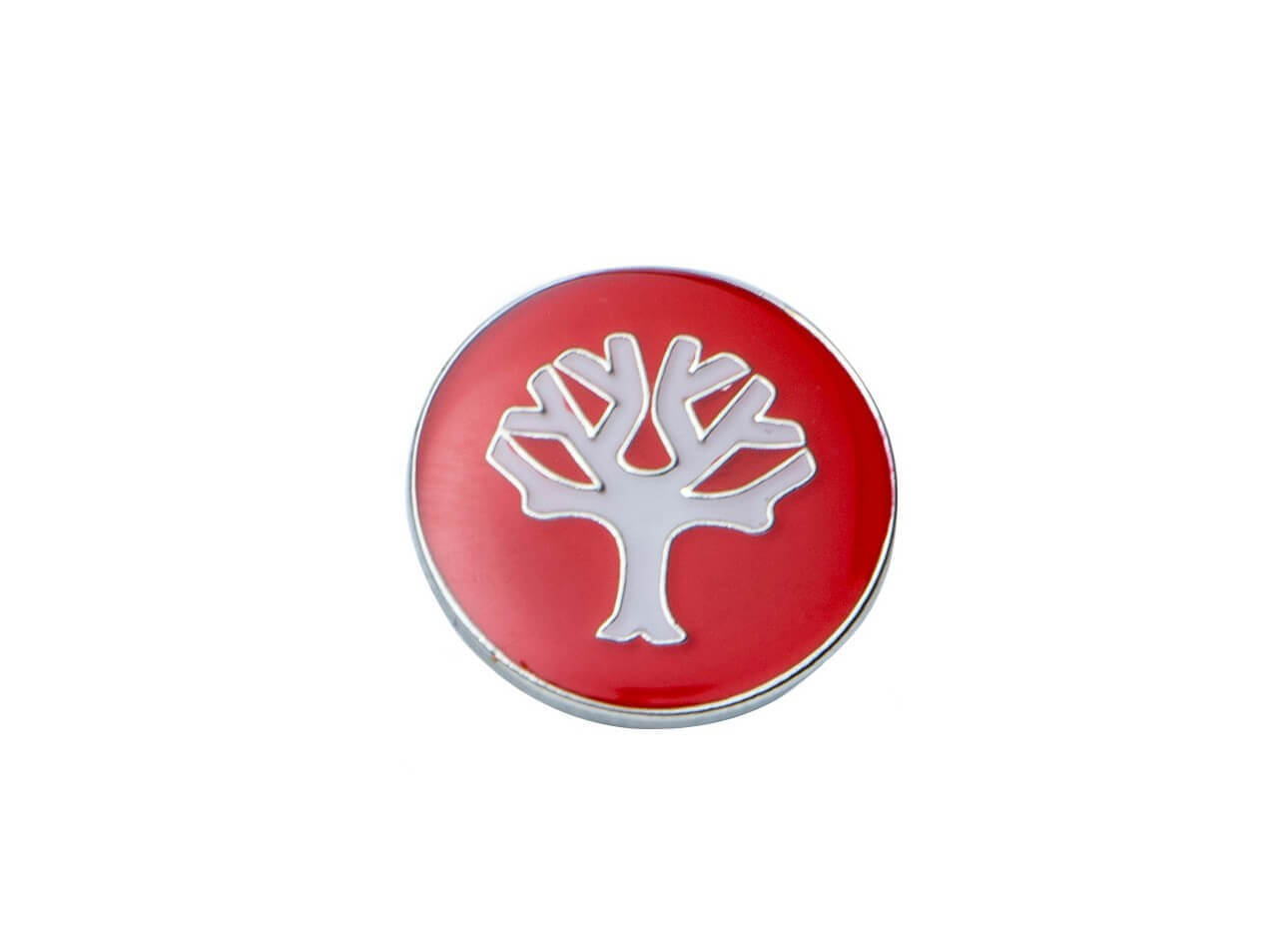 Pin