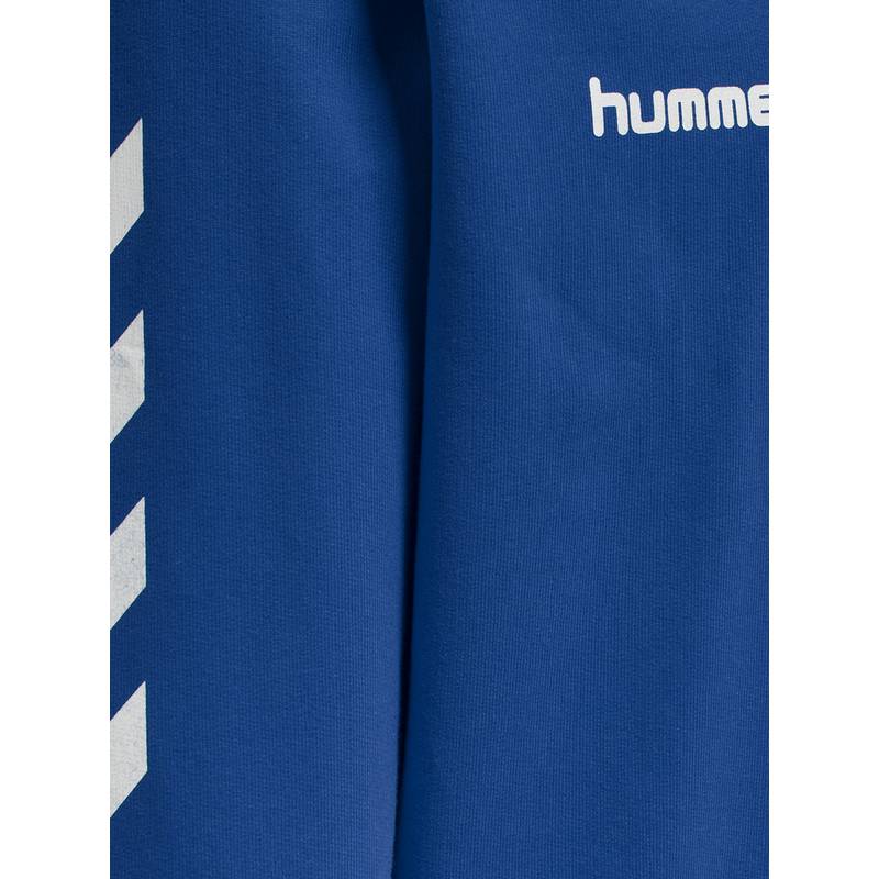 hummel HMLGO KIDS COTTON HOODIE Hoodie Kinder