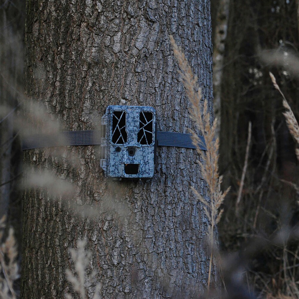 Spypoint Wildkamera Force-Pro