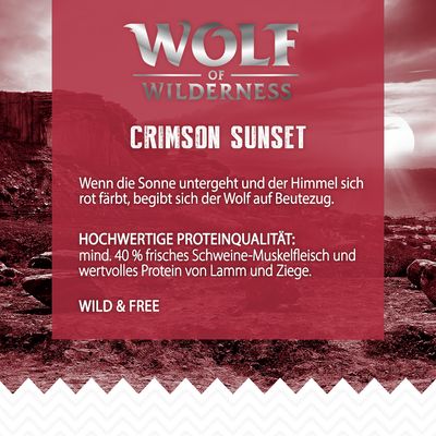 Wolf of Wilderness 