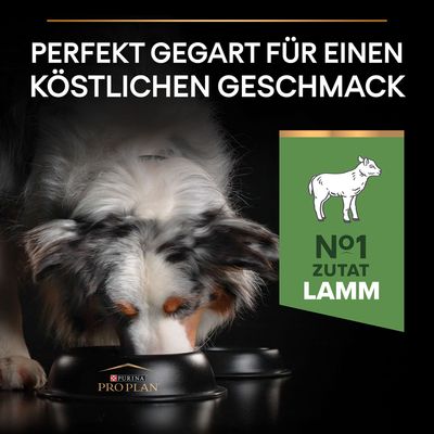 PURINA PRO PLAN Medium Adult Lamm & Reis Sensitive Digestion