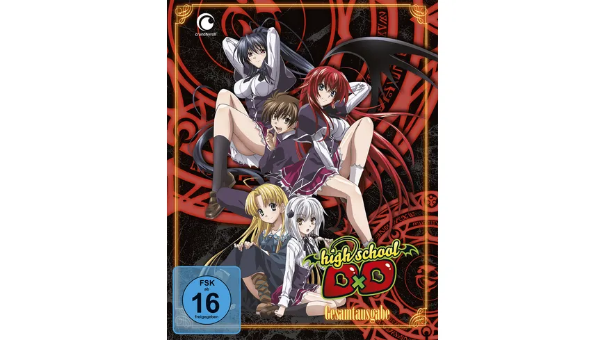 Highschool DxD - Gesamtausgabe  [4 DVDs]