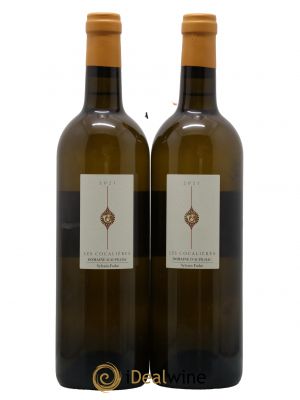 Languedoc Aupilhac (Domaine d') Les Cocalières Sylvain Fadat  2021 - Lot de 2 Bouteilles