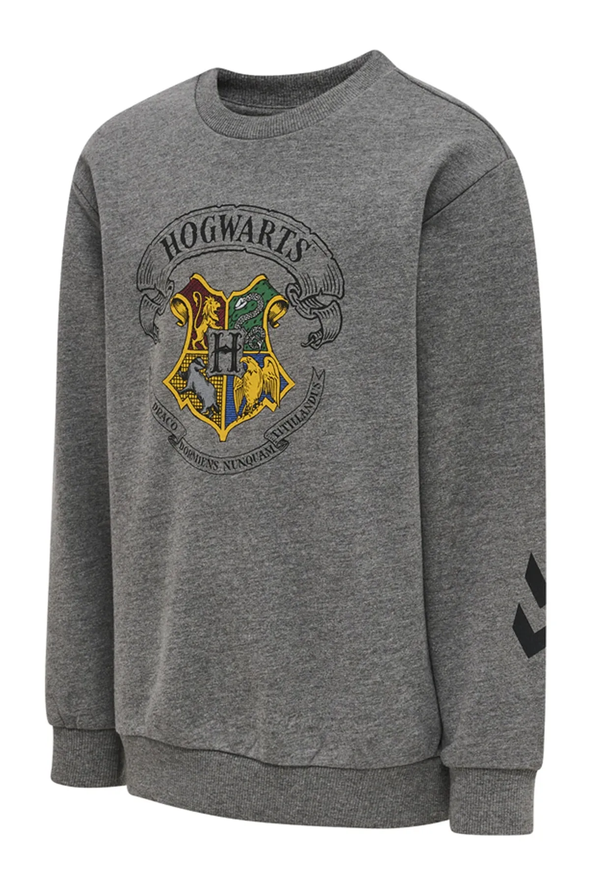 hummel  hmlHARRY POTTER FRÜHLINGSTRAININGSANZUG