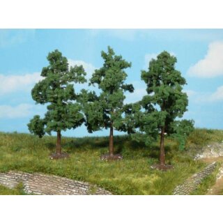 Obstbäume 8-12 cm (4 Stk.)