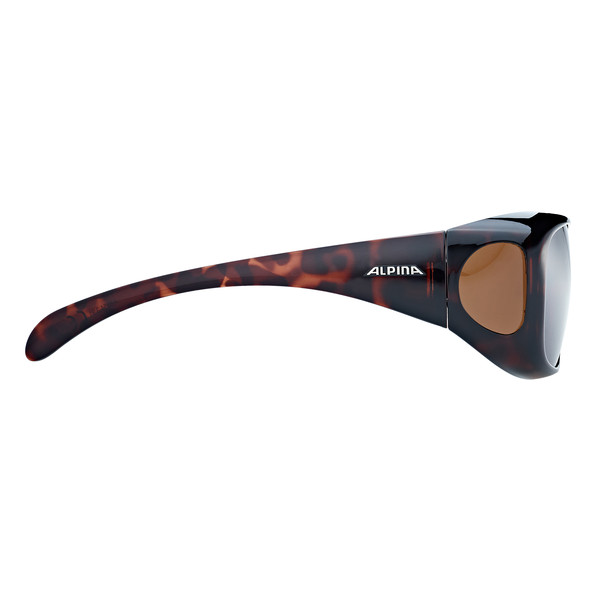OVERVIEW Unisex - Schutzbrille