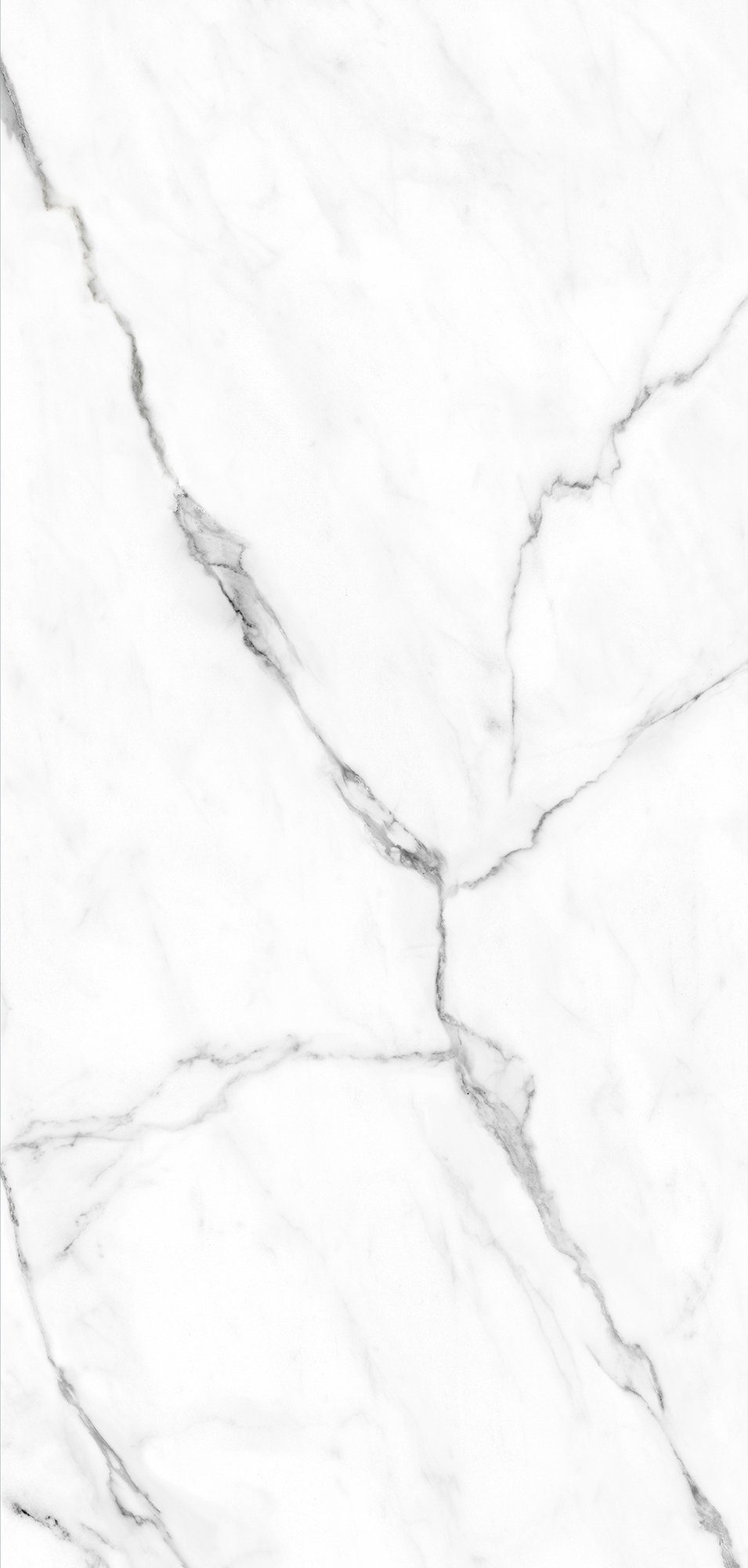 Schulte Badrückwand DecoDesign Softtouch Stein Marmor-Bianco, (1-tlg), Wandverkleidung, fugenloser Fliesenersatz, Duschrückwand