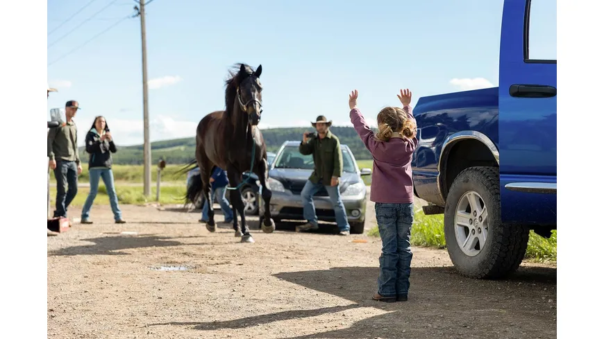 Heartland - Paradies für Pferde - Staffel 16  [4 DVDs]