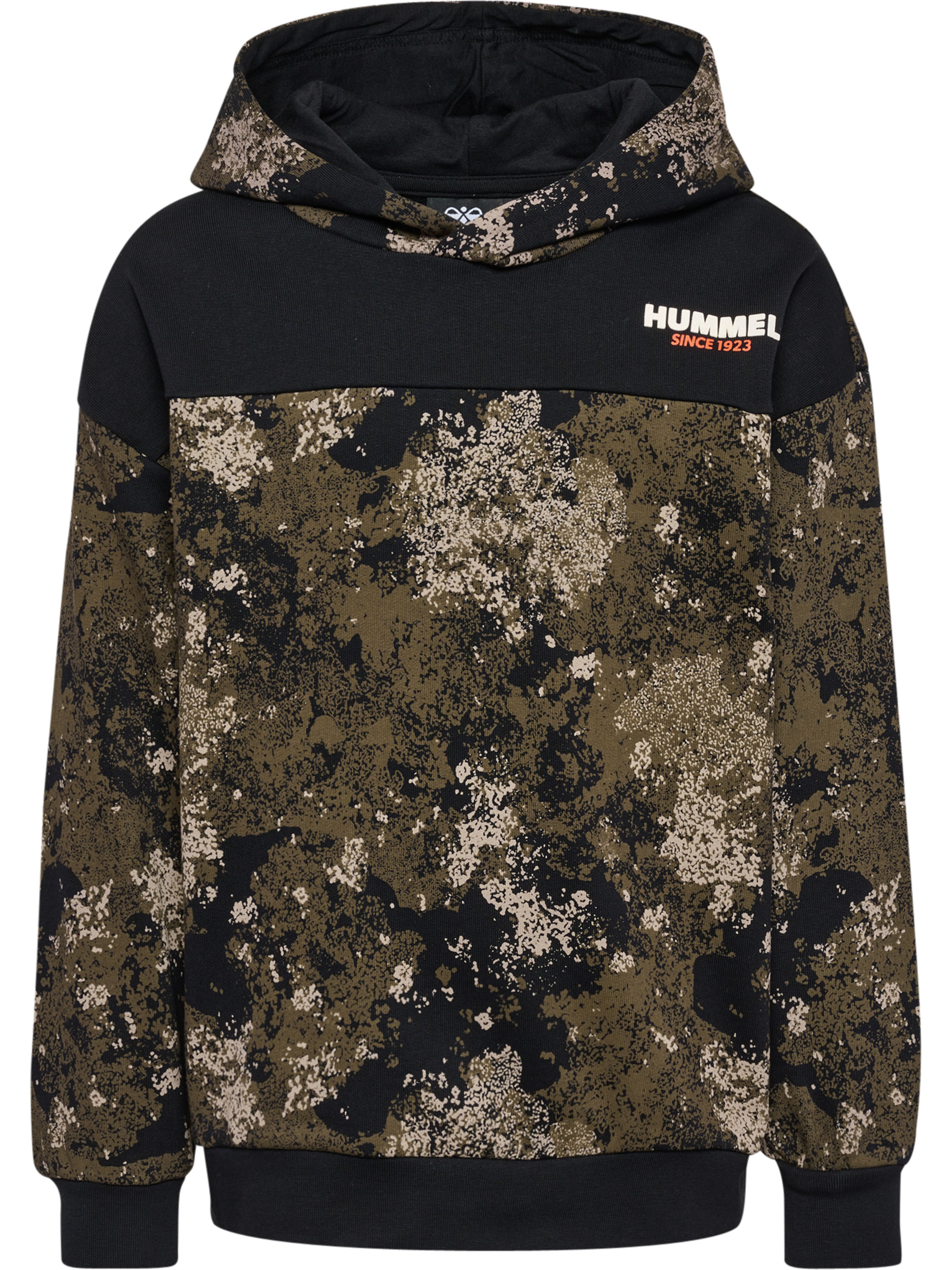 Athletic Sweatshirt 'AGGE'
