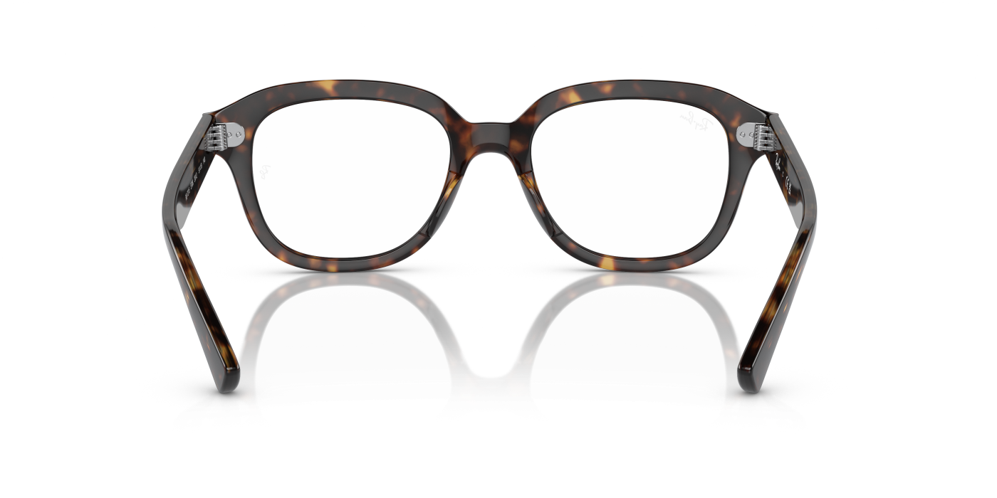 ERIK OPTICS - Lucido Havana