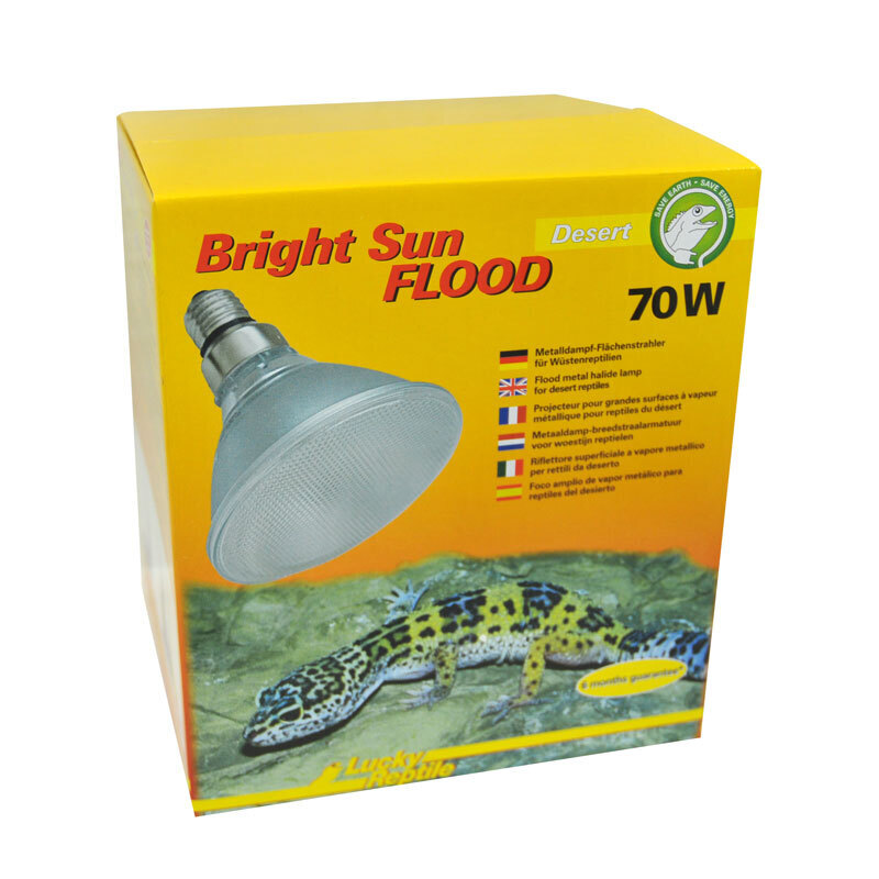 Lucky Reptile Beleuchtung Lucky Reptile Bright Sun FLOOD Desert 70 W