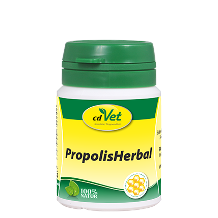 cdVet Ergänzungsfutter & Aufzucht cdVet PropolisHerbal 20g 20 g